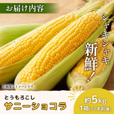 【先行受付】有機栽培とうもろこし (サニーショコラ) 約5kg 約10本前後【66019】