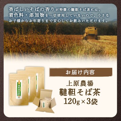 【無農薬栽培】上原農場　韃靼そば茶120g×3袋【6601401】