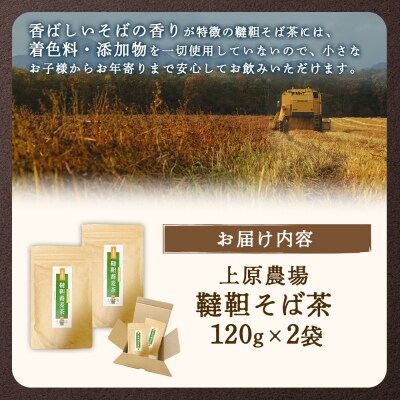 【無農薬栽培】上原農場　韃靼そば茶120g×2袋【6601502】