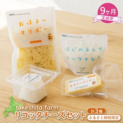 竹下牧場 【9ヶ月配送】リコッタチーズセット  計470g【2402801】