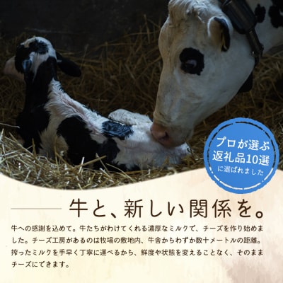 竹下牧場 【9ヶ月配送】リコッタチーズセット  計470g【2402801】