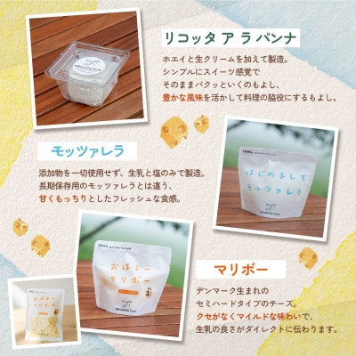 竹下牧場 【9ヶ月配送】リコッタチーズセット  計470g【2402801】
