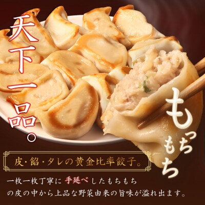 【定期便:6回】【なかしべつミルキーポーク100%使用】 樹苞 お城餃子36個【5301602】