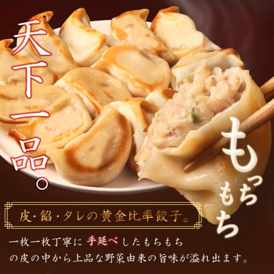 【定期便:9回】【なかしべつミルキーポーク100%使用】 樹苞 お城餃子36個【53017】