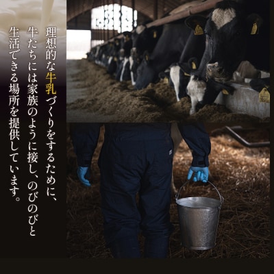 極濃チーズサンド(4個入)×1　特選ギフト 味覚のふきだまり(13個入)【52011】