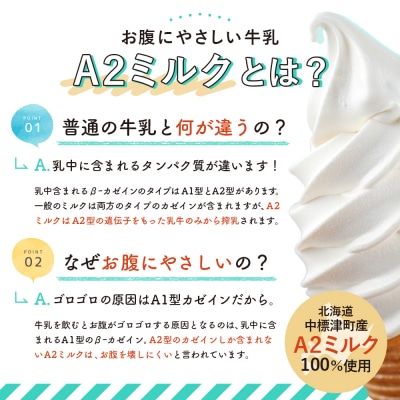 中標津町　超乳アイス(ミルク&チョコ)　140ml×6個セット　計840ml【78001】