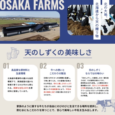 OSAKA FARMS ICE CREAM ミルク6個入りセット【5101101】