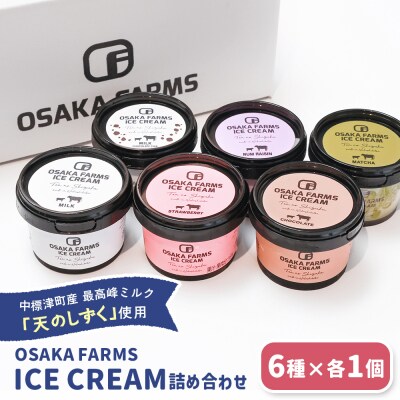 OSAKA FARMS ICE CREAM 詰め合わせ6個入りセット【51013】