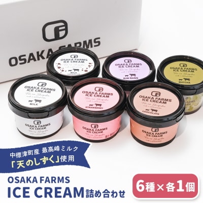 OSAKA FARMS ICE CREAM 詰め合わせ6個入りセット【5101301】