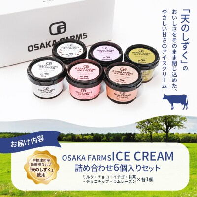 OSAKA FARMS ICE CREAM 詰め合わせ6個入りセット【51013】