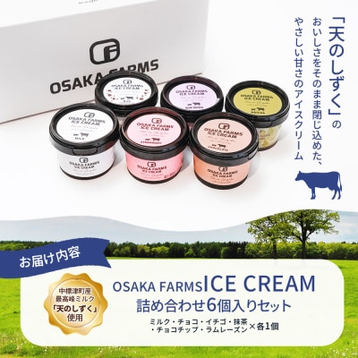OSAKA FARMS ICE CREAM 詰め合わせ6個入りセット【5101301】