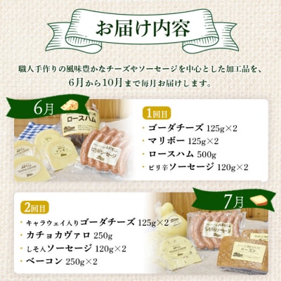 【数量限定】【定期便:全5回】職人手作りチーズ・ソーセージ定期便 前期(全17種)【1700301】