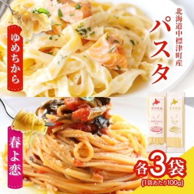 北海道中標津町産「春よ恋」パスタ・「ゆめちから」パスタ 各3袋(合計6袋)【82006】