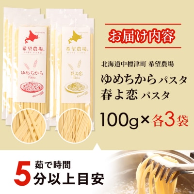 北海道中標津町産「春よ恋」パスタ・「ゆめちから」パスタ 各3袋(合計6袋)【82006】
