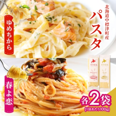 北海道中標津町産「春よ恋」パスタ・「ゆめちから」パスタ 各2袋(合計4袋)【82005】