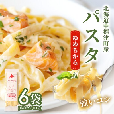 北海道中標津町産「ゆめちから」パスタ×6袋【82004】