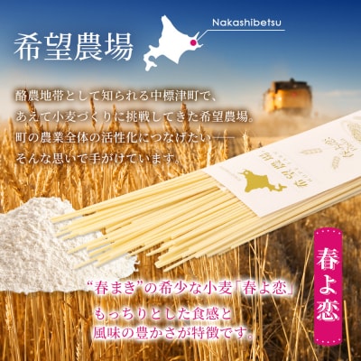 北海道中標津町産「春よ恋」パスタ×4袋【82001】