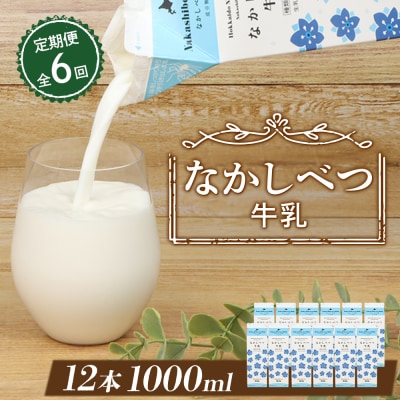 【定期便:全6回】北海道なかしべつ牛乳 1L×12本【14060】