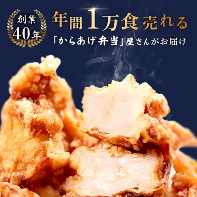 【レンジで簡単】鶏のからあげ もも肉1kg(250g×4パック)【35193】