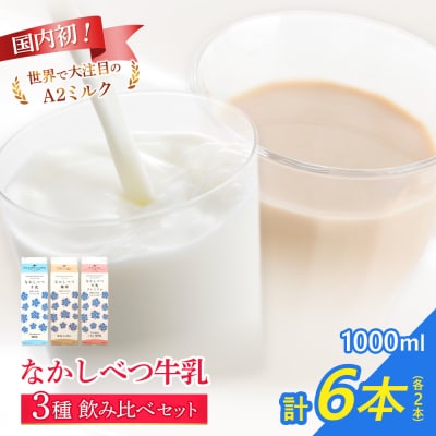 なかしべつ牛乳・珈琲・プレミアム 3種飲み比べ6本セット【14062】