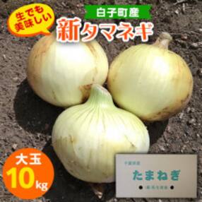 メディアでも話題!生でも美味しい白子町産新タマネギ10kg(大玉)【2023年5月中旬以降発送】