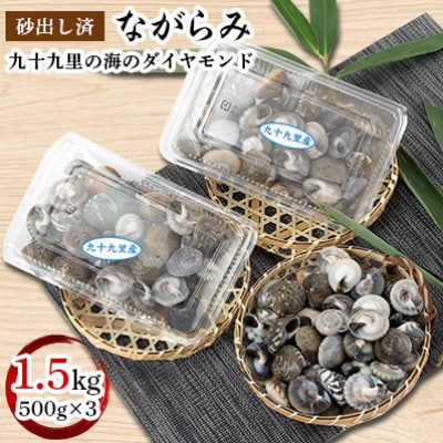 九十九里の海のダイヤモンド　ながらみ1.5kg(500g×3)