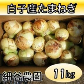 千葉県 白子産たまねぎ 11kg【2024年5月中旬以降発送】