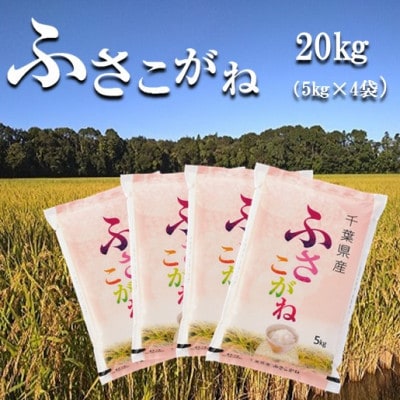 令和6年産千葉県産ふさこがね 精米 20kg (5kg×4袋)