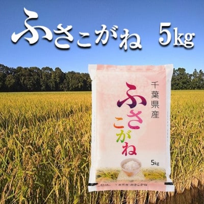 令和5年産千葉県産ふさこがね 精米 5kg (5kg×1袋)