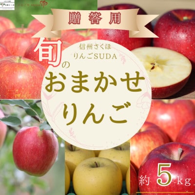 農園にお任せ旬のリンゴ 5kg入り贈答箱【限定50箱】[RS-104]