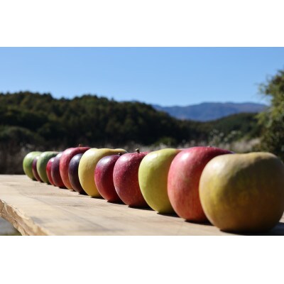 Sakuho Terroir Le Pomme du Mousse シードル2本入[RS-102]