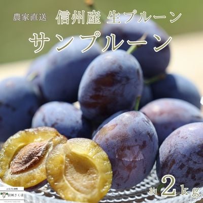 サンプルーン　2kg【限定50箱】【期間限定】[RS-105]
