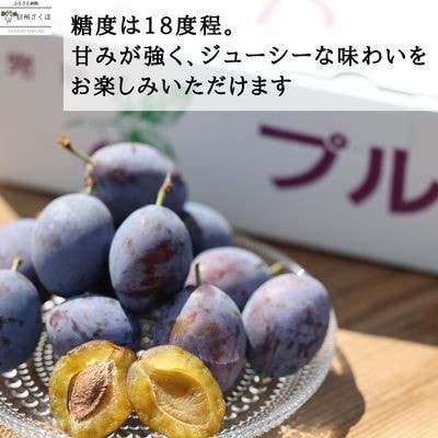 サンプルーン　2kg【限定50箱】【期間限定】[RS-105]
