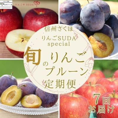 【発送月固定定期便】旬のりんご・生プルーン・りんごジュースセット[RS-T503]全7回