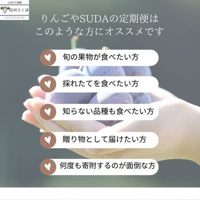 【発送月固定定期便】旬のりんご・生プルーン・りんごジュースセット[RS-T503]全7回