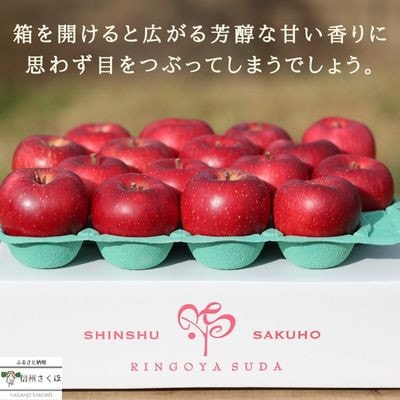 【発送月固定定期便】旬のりんご 各約5kg[RS-T501]全5回