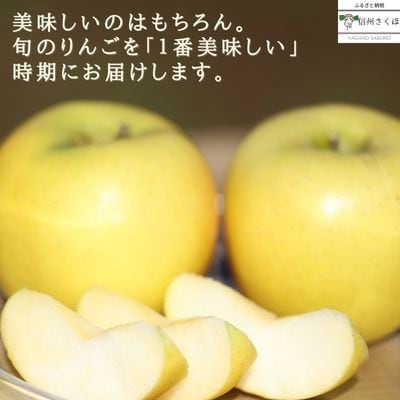 【発送月固定定期便】旬のりんご 各約5kg[RS-T501]全5回