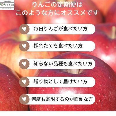 【発送月固定定期便】旬のりんご 各約5kg[RS-T501]全5回