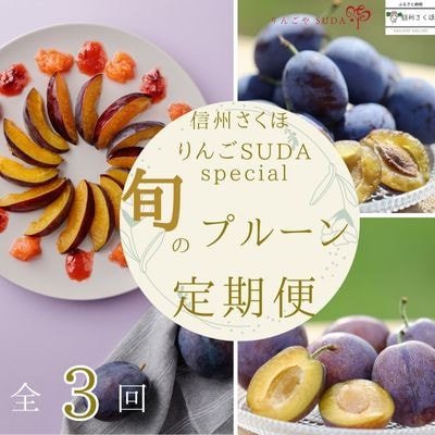 【発送月固定定期便】旬の生プルーン[RS-T502]全3回