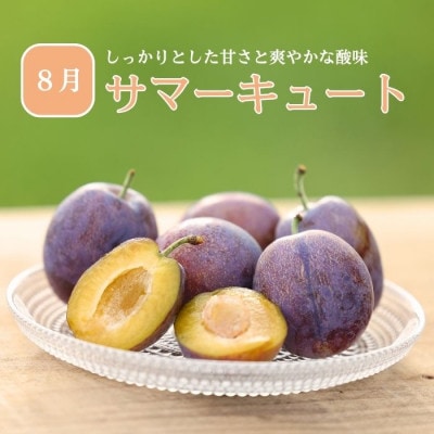 【発送月固定定期便】旬の生プルーン[RS-T502]全3回