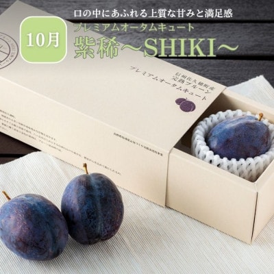 【発送月固定定期便】旬の生プルーン[RS-T502]全3回