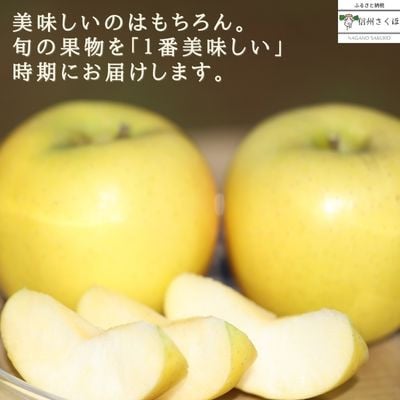 【発送月固定定期便】旬のりんご・生プルーン・りんごジュースセット[RS-T503]全7回