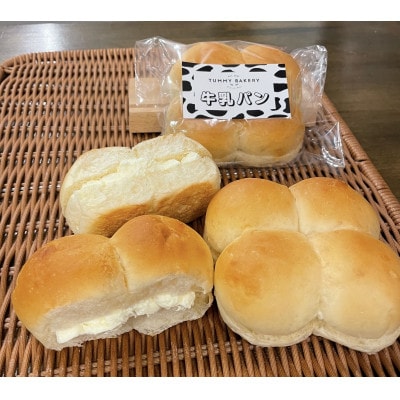 信州ご当地パン『タミーの牛乳パン』10個セット