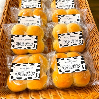 信州ご当地パン『タミーの牛乳パン』10個セット