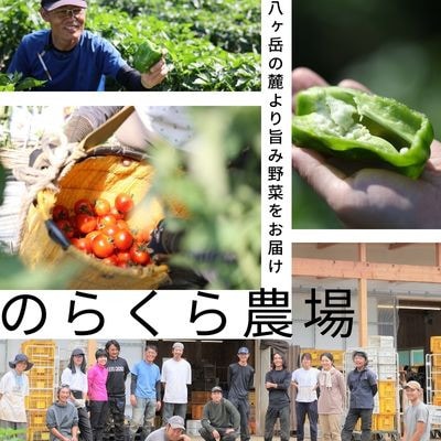 【単発】信州北八ヶ岳からお届け～のらくら農場の旨み野菜セット～11種類前後(Lサイズ3～4人分)