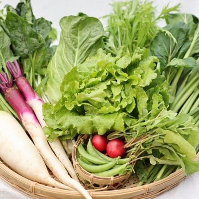 【単発】信州北八ヶ岳からお届け～のらくら農場の旨み野菜セット～6種類前後(Sサイズ1～2人分)