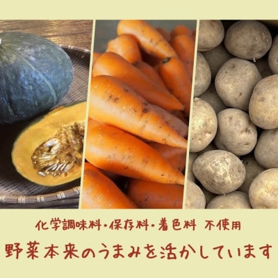 玄米と野菜のレトルトスープ3種セット　15個入(3種類×各5個)
