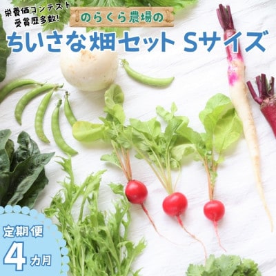 【毎月定期便】信州北八ヶ岳からお届け～のらくら農場の旨み野菜セット～6種類前後(Sサイズ)全4回