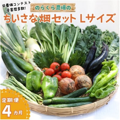 【毎月定期便】信州北八ヶ岳からお届け～のらくら農場の旨み野菜セット～11種類前後(Lサイズ)全4回