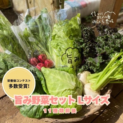 【毎月定期便】信州北八ヶ岳からお届け～のらくら農場の旨み野菜セット～11種類前後(Lサイズ)全6回